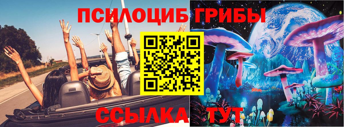 Сыктывкар  Псилоцибиновые грибы Cubensis  Вход с VPN  Галлюциногенные грибы Psilocybe 
